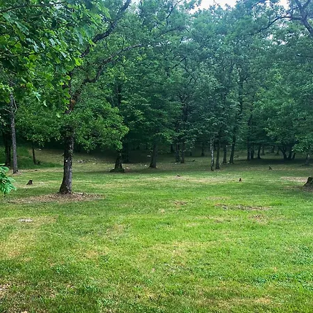 Cozy In Sarliac With Wifi